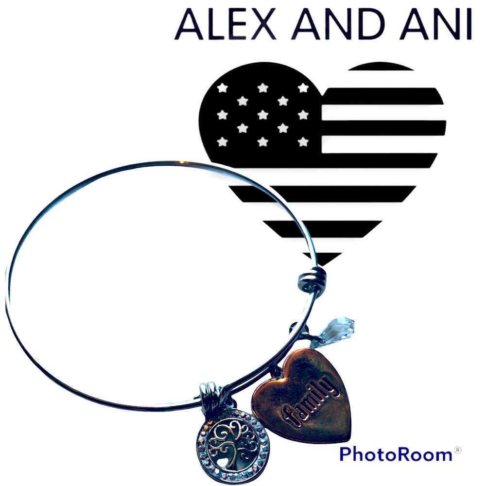 Alex and Ani Two-Toned Family Bracelet